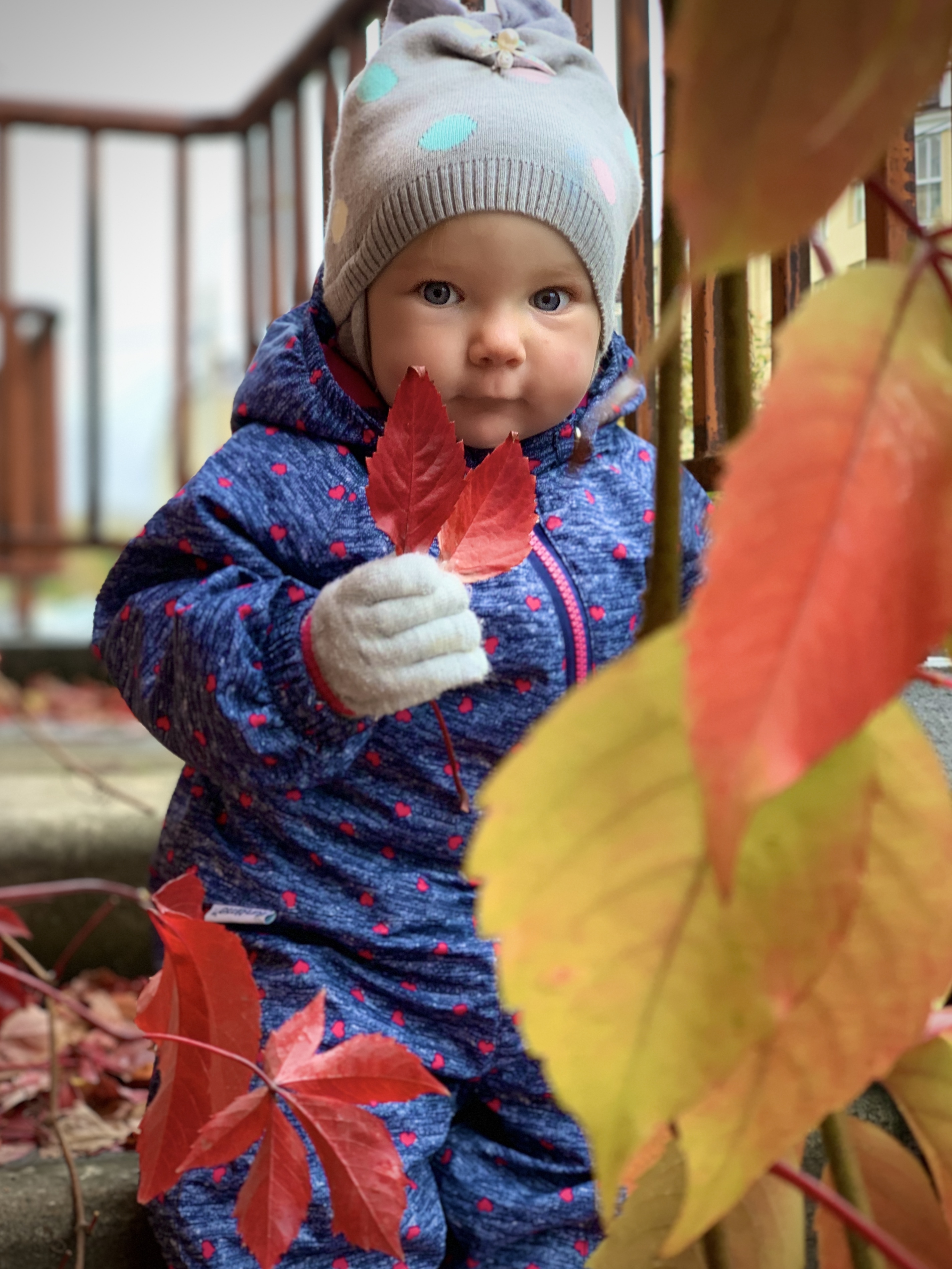 Фото участника: Юлия Овчинникова